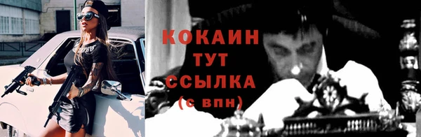 шишки Вязьма