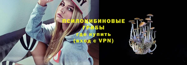 гидра Вязники