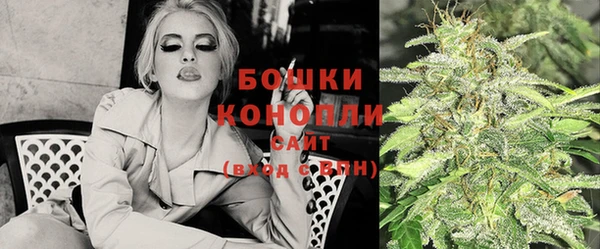 ECSTASY Вяземский