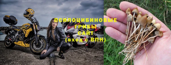 гидра Вязники