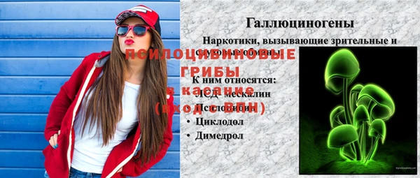 ECSTASY Вяземский