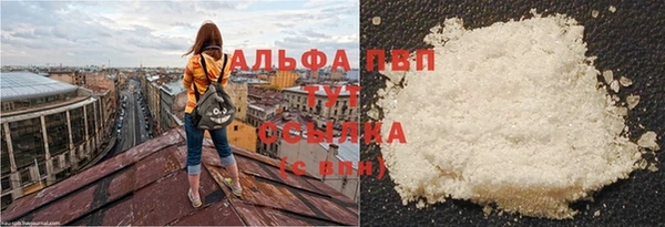 ECSTASY Вяземский