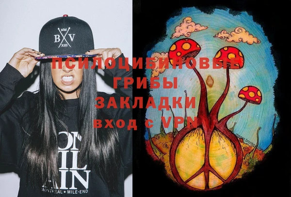 шишки Вязьма