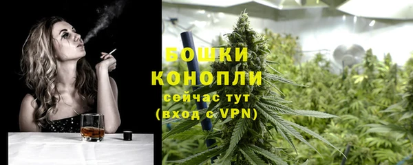 ECSTASY Вяземский