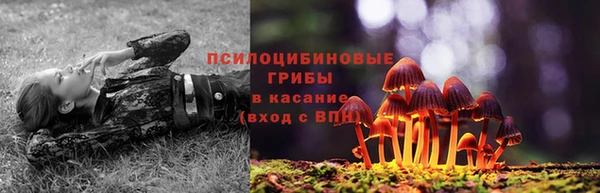 шишки Вязьма