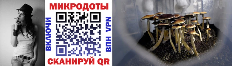 Псилоцибиновые грибы мицелий  Купить закладки  Бирюсинск 